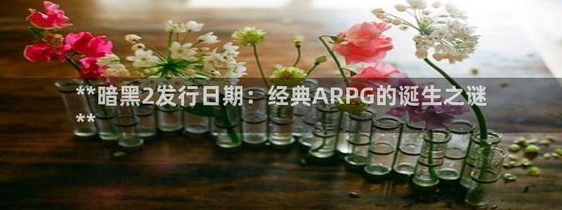 浩动游戏创造奇迹登录最简单三个步骤：**暗黑2发行日期：经典ARPG的诞生之谜
**